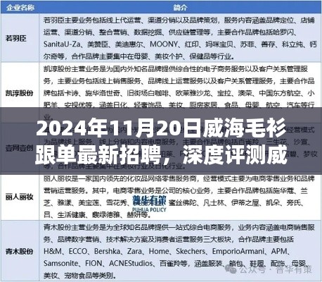 威海毛衫跟單最新招聘深度解析，特性、用戶(hù)體驗(yàn)與目標(biāo)受眾分析