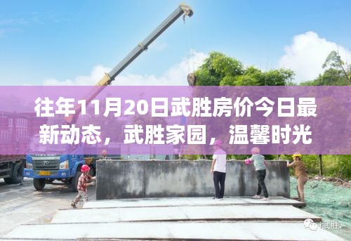往年11月20日武勝房?jī)r(jià)今日最新動(dòng)態(tài)，武勝家園，溫馨時(shí)光與房?jī)r(jià)的微妙交響曲