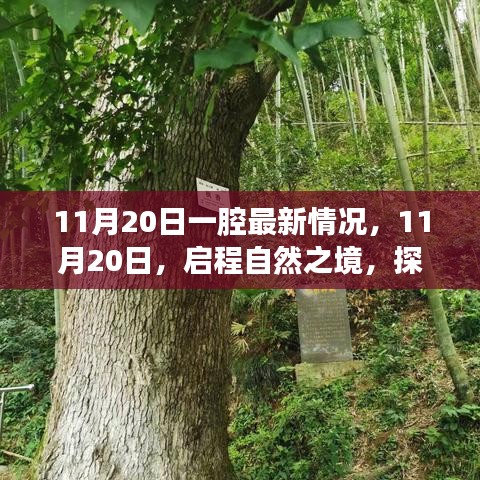 11月20日啟程自然之境，探尋內(nèi)心的桃花源最新動(dòng)態(tài)