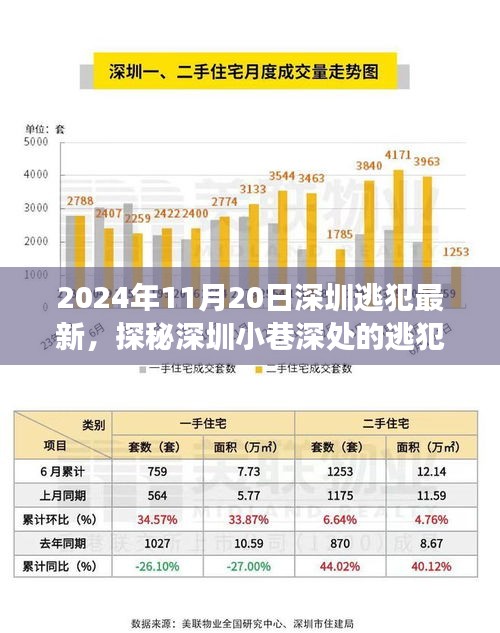 探秘深圳小巷深處的逃犯新去處，特色小店背后的故事（2024年11月20日深圳逃犯最新）