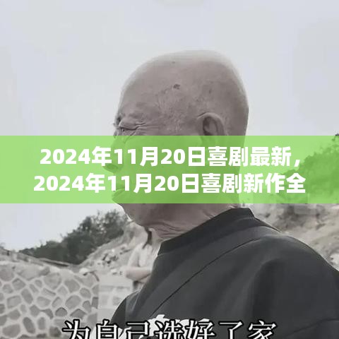 喜劇新作測評，歡笑與感動(dòng)的完美結(jié)合（2024年11月20日最新）