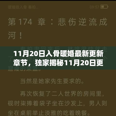 獨(dú)家揭秘，入骨暖婚最新更新章節(jié)，高科技革新重塑婚姻未來(lái)體驗(yàn)