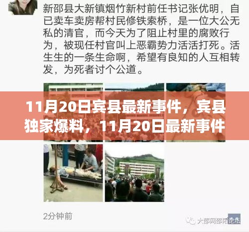 賓縣獨家爆料，11月20日最新事件全解析，小紅書直擊現(xiàn)場！