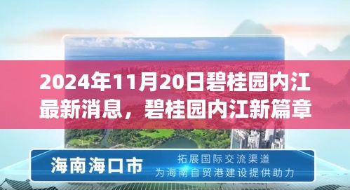 碧桂園內(nèi)江最新動(dòng)態(tài)，美好時(shí)光溫馨傳遞，愛(ài)在朋友間的日常篇章（2024年11月20日）