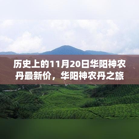 華陽神農(nóng)丹之旅，探尋歷史價格與自然美景，尋找內(nèi)心的寧靜與和諧