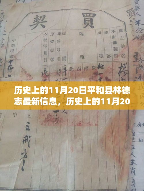 歷史上的11月20日，平和縣林德志最新信息概覽