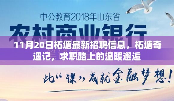 柘塘最新招聘信息揭秘，求職路上的溫暖邂逅之旅