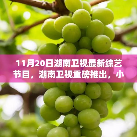 湖南衛(wèi)視巷弄美食探秘夜，小巷深處的綜藝寶藏新節(jié)目上線