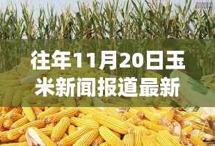探秘巷弄深處的驚喜小店，往年玉米新聞回顧與隱藏式特色小店的玉米香之旅