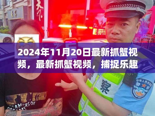 最新抓蟹視頻，捕捉樂趣與生態(tài)平衡交織的探討