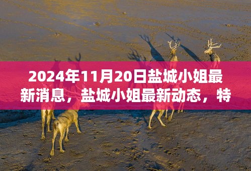 鹽城小姐最新動(dòng)態(tài)深度解析，特性、體驗(yàn)、競(jìng)品對(duì)比及目標(biāo)用戶群體分析（2024年11月版）