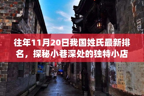 往年11月20日中國姓氏最新排名，小巷深處的獨特小店背后的故事探秘
