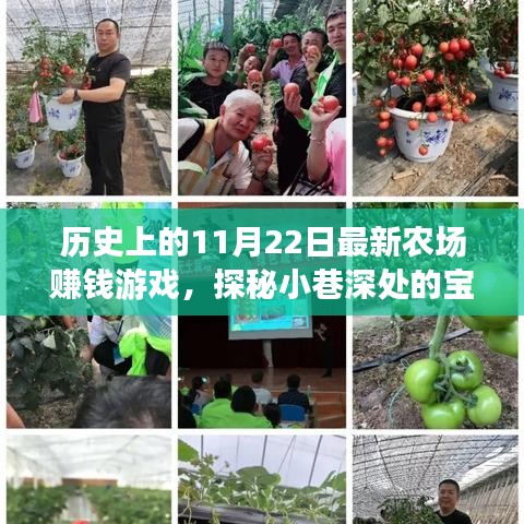 歷史上的11月22日最新農場賺錢游戲，探秘小巷深處的寶藏，歷史上的11月22日，全新農場賺錢游戲起源地