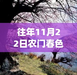 農(nóng)門(mén)春色，暖陽(yáng)下的秋日趣事與深厚友情最新章節(jié)發(fā)布（XXXX年XX月XX日）