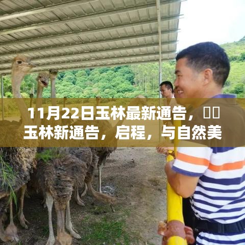 玉林新通告發(fā)布，啟程共舞自然美景，探尋內(nèi)心寧靜之樂