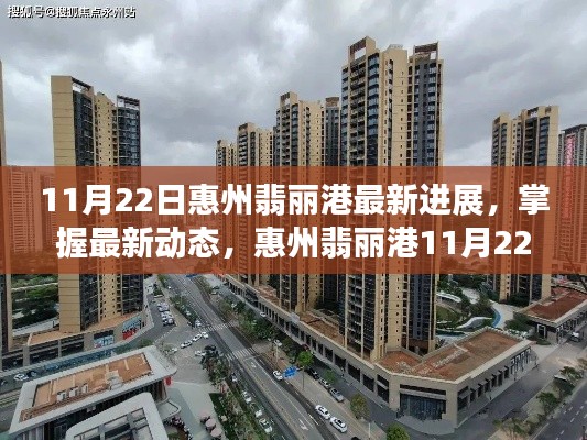 惠州翡麗港11月22日最新進展詳解與操作指南，掌握最新動態(tài)！