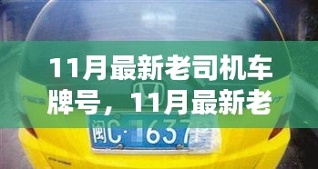 飛揚撥扈 第6頁