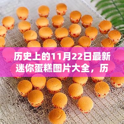 歷史上的11月22日迷你蛋糕圖片精選集，最新圖片大全展示