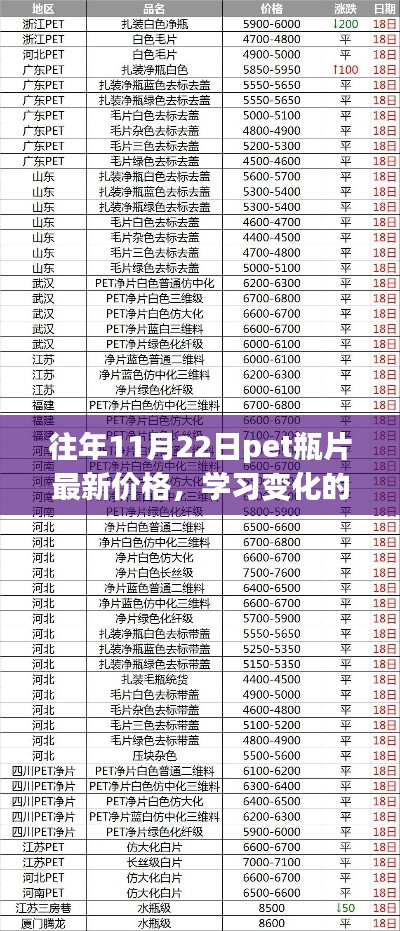 往年11月22日PET瓶片最新價(jià)格，探尋變化的力量，自信與成就的來源