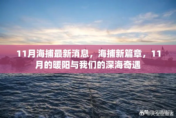 11月深海奇遇，海捕新篇章開啟，暖陽下的深海探索之旅