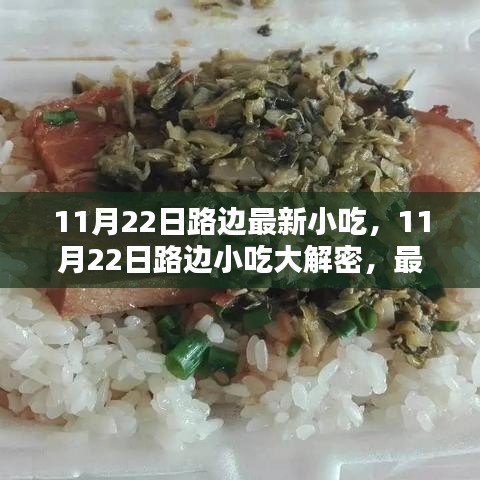 揭秘11月22日路邊最新小吃，深度評測與介紹