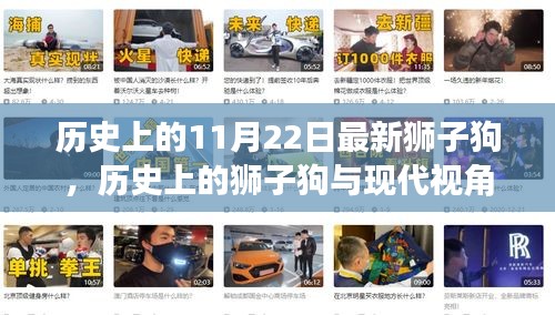 歷史上的獅子狗，從過去到現(xiàn)代的視角探討與最新獅子狗事件回顧
