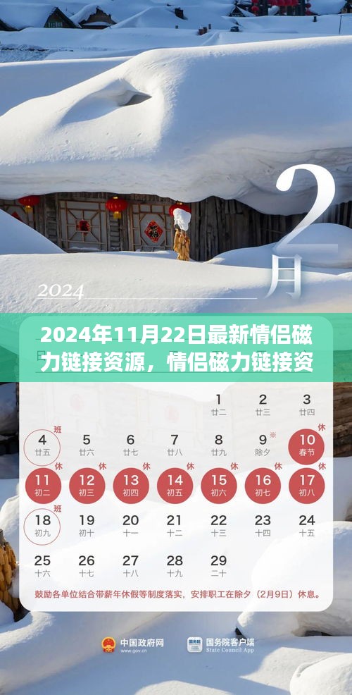 2024年情侶磁力鏈接資源新動態(tài)，探索最新進展與資源
