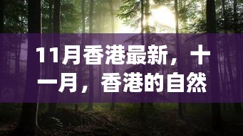 香港十一月自然之旅，綠色懷抱中的心靈尋覓