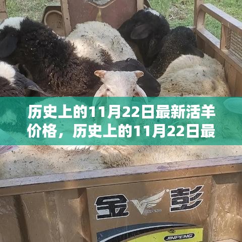 歷史上的11月22日活羊價(jià)格深度評(píng)測(cè)與介紹，最新價(jià)格及市場(chǎng)分析