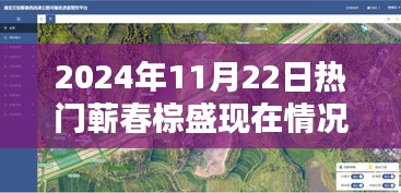 蘄春棕盛2024年11月22日現(xiàn)狀揭秘，日常溫馨與奇遇