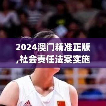 2024澳門(mén)精準(zhǔn)正版,社會(huì)責(zé)任法案實(shí)施_極致版VZJ5.24