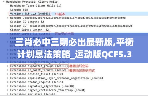 三肖必中三期必出最新版,平衡計(jì)劃息法策略_運(yùn)動(dòng)版QCF5.31