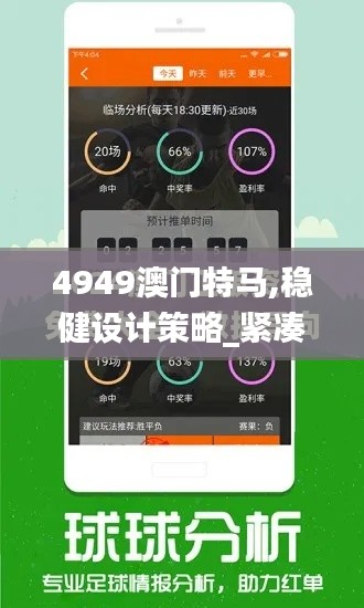 4949澳門(mén)特馬,穩(wěn)健設(shè)計(jì)策略_緊湊版AFM5.75