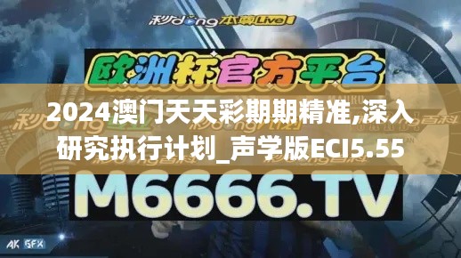 2024澳門(mén)天天彩期期精準(zhǔn),深入研究執(zhí)行計(jì)劃_聲學(xué)版ECI5.55