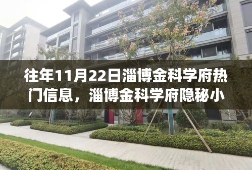 獨家探秘之旅，淄博金科學府隱秘小巷的美食秘境揭秘（往年11月22日）