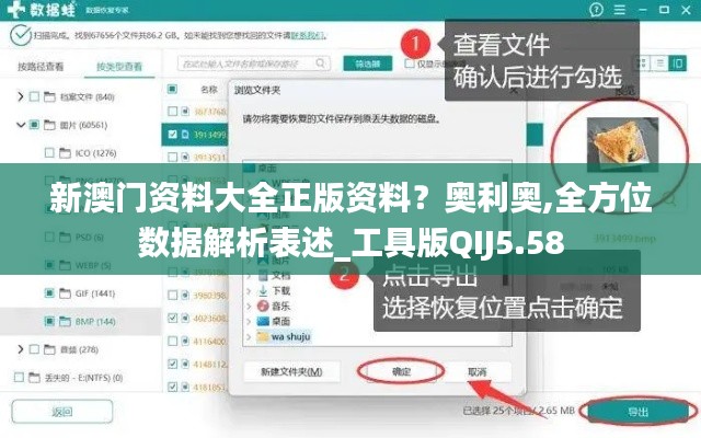 新澳門(mén)資料大全正版資料？奧利奧,全方位數(shù)據(jù)解析表述_工具版QIJ5.58
