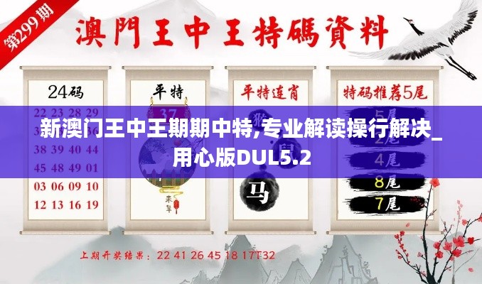 新澳門(mén)王中王期期中特,專(zhuān)業(yè)解讀操行解決_用心版DUL5.2