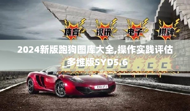 2024新版跑狗圖庫(kù)大全,操作實(shí)踐評(píng)估_多維版SYD5.6