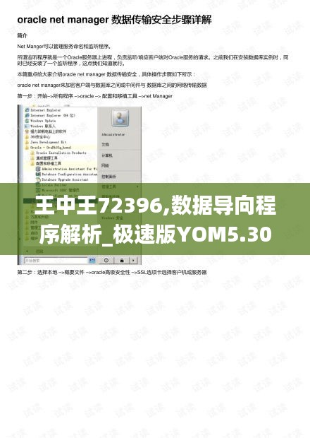 王中王72396,數(shù)據(jù)導向程序解析_極速版YOM5.30