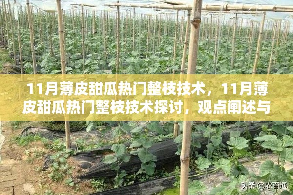 11月薄皮甜瓜整枝技術(shù)探討，觀點(diǎn)闡述與解析