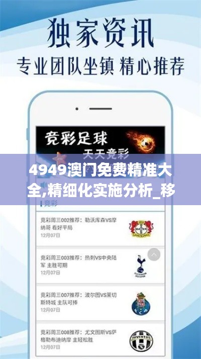 4949澳門免費精準大全,精細化實施分析_移動版XOS5.73
