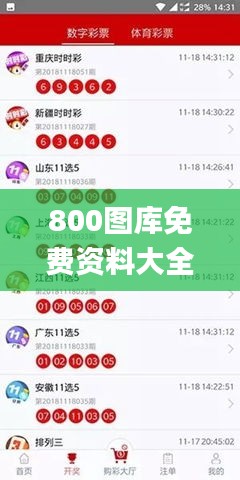 800圖庫免費(fèi)資料大全,直播全面解答是什么軟件_夢想版FSX5.20
