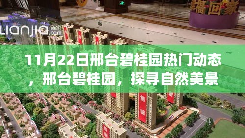 邢臺(tái)碧桂園，探尋自然美景的心靈寧?kù)o之旅（11月22日熱門(mén)動(dòng)態(tài)）