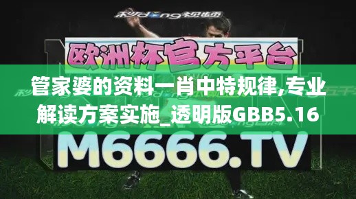 管家婆的資料一肖中特規(guī)律,專業(yè)解讀方案實(shí)施_透明版GBB5.16