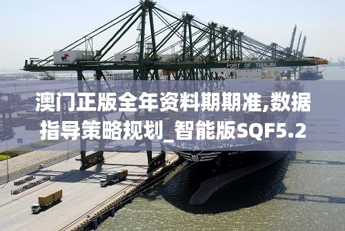 澳門正版全年資料期期準(zhǔn),數(shù)據(jù)指導(dǎo)策略規(guī)劃_智能版SQF5.23