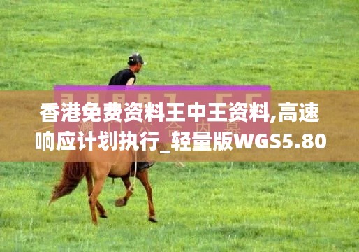 香港免費資料王中王資料,高速響應(yīng)計劃執(zhí)行_輕量版WGS5.80