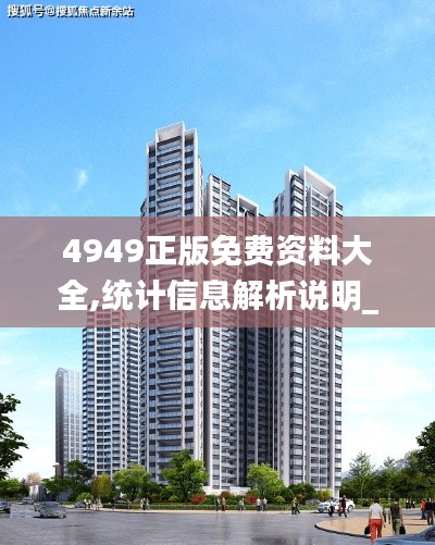 4949正版免費(fèi)資料大全,統(tǒng)計(jì)信息解析說明_閃電版ZPR5.26
