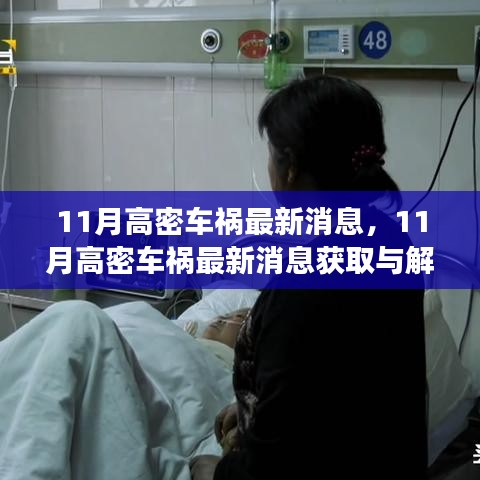 11月高密車禍最新消息解讀與獲取指南，適用于初學(xué)者與進(jìn)階用戶