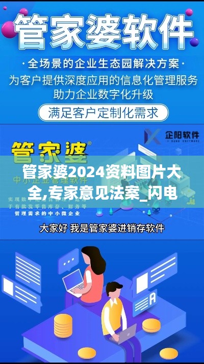 管家婆2024資料圖片大全,專(zhuān)家意見(jiàn)法案_閃電版JOC5.3