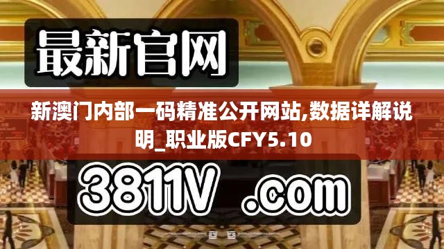 新澳門內(nèi)部一碼精準公開網(wǎng)站,數(shù)據(jù)詳解說明_職業(yè)版CFY5.10